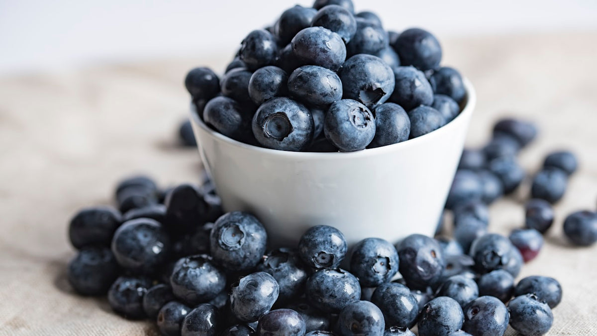 Nicotine Pouch Strength Guide: Clew Blueberry Extra Strong