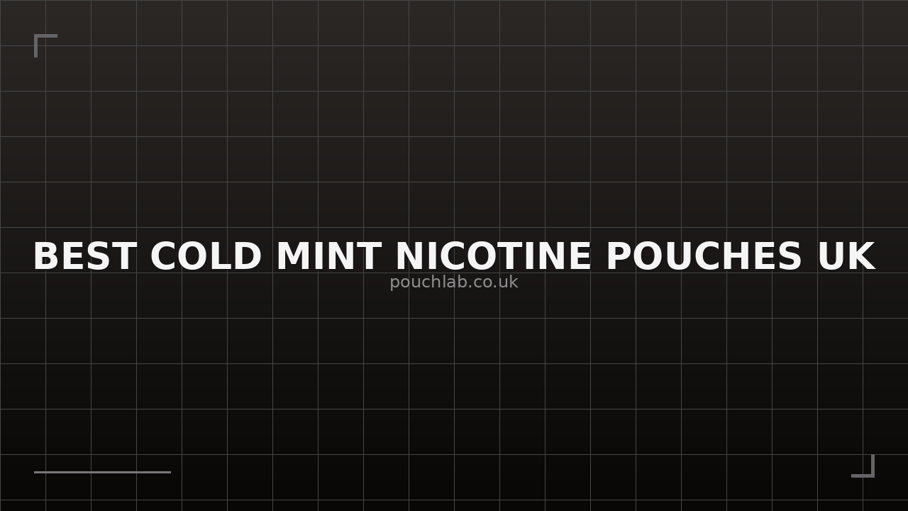 Best Nicotine Pouch Flavours: Best Cold Mint Nicotine Pouches Uk