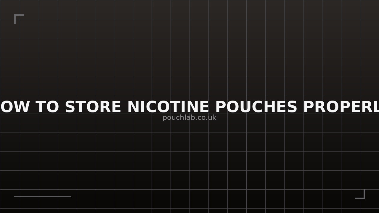 How To Store Nicotine Pouches Properly - Complete Guide