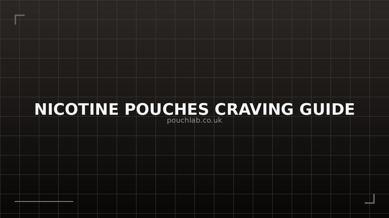 Nicotine Pouches Craving Guide - Expert Guide
