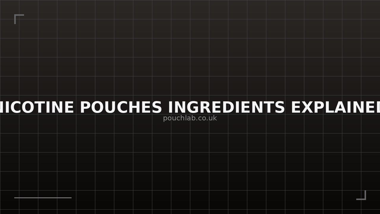 Nicotine Pouches Ingredients Explained - Complete UK Guide
