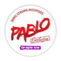 PABLO EXCLUSIVE - Grape Ice - Pouch Lab