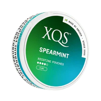 XQS - Spearmint - Pouch Lab